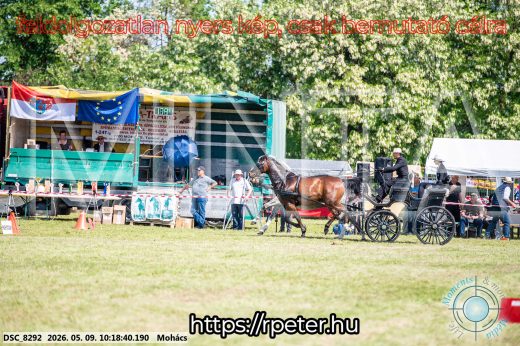 Mintakép 20260509-10