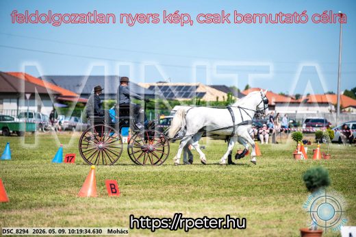 Mintakép 20260509-12