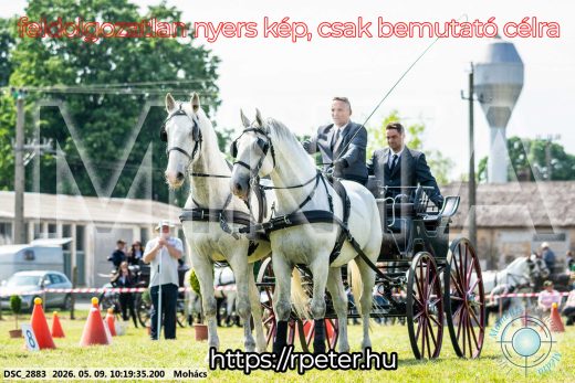Mintakép 20260509-13