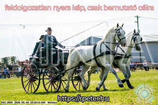 Mintakép 20260509-15