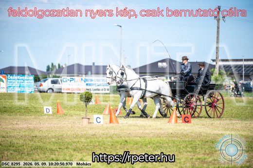 Mintakép 20260509-17