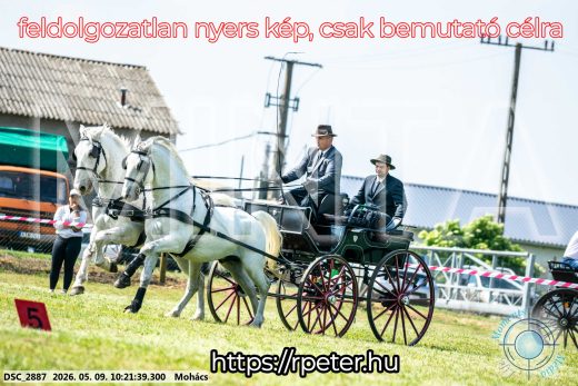 Mintakép 20260509-18