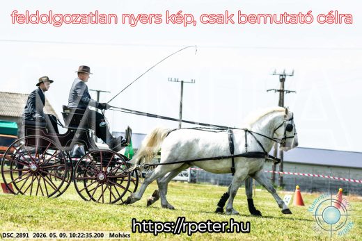 Mintakép 20260509-21
