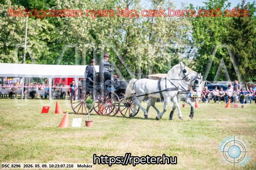 Mintakép 20260509-24
