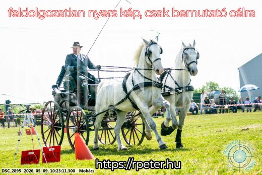 Mintakép 20260509-25