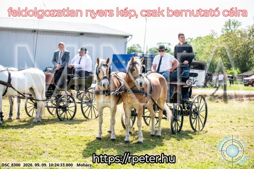 Mintakép 20260509-31