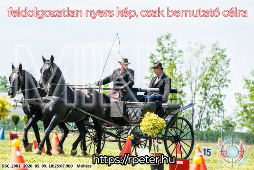 Mintakép 20260509-33