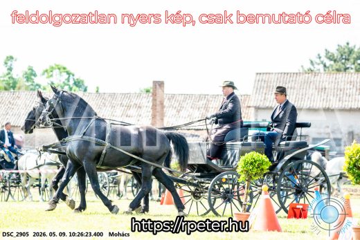 Mintakép 20260509-35