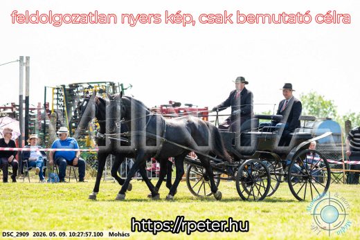 Mintakép 20260509-38