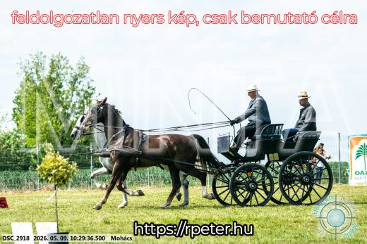Mintakép 20260509-42