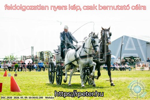 Mintakép 20260509-43