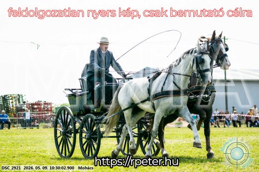 Mintakép 20260509-44