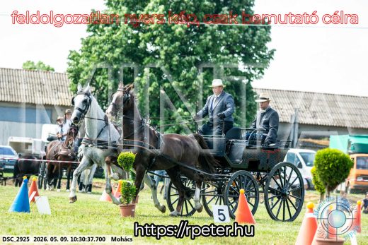 Mintakép 20260509-46