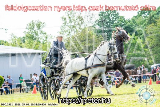 Mintakép 20260509-49