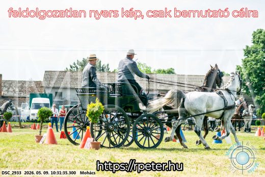 Mintakép 20260509-51