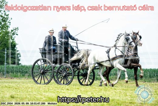 Mintakép 20260509-52