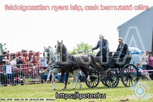 Mintakép 20260509-55