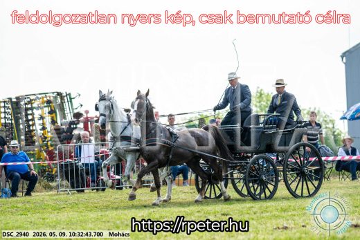 Mintakép 20260509-56