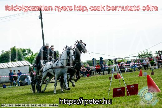 Mintakép 20260509-57