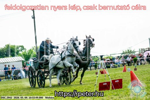 Mintakép 20260509-58
