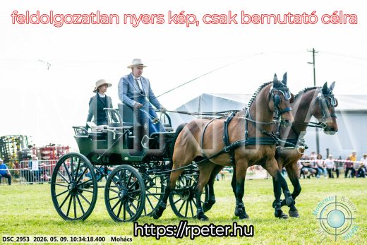 Mintakép 20260509-66