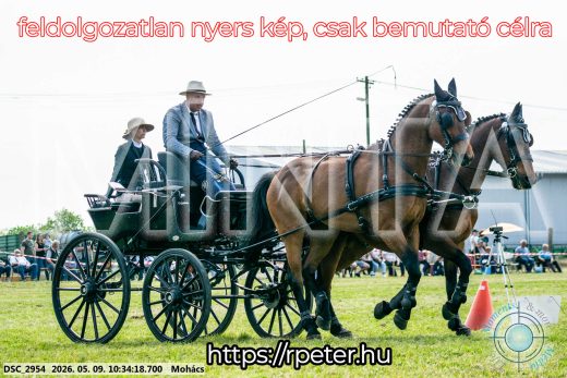 Mintakép 20260509-67