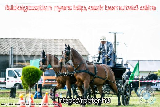 Mintakép 20260509-69
