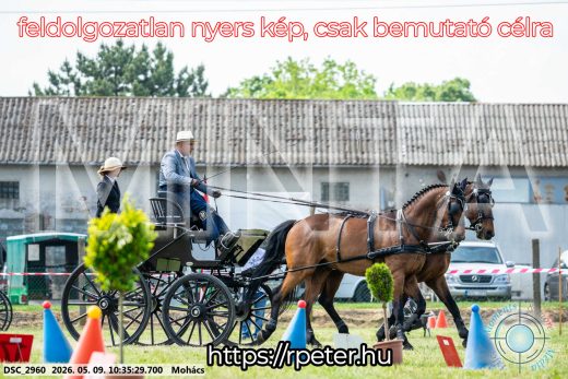 Mintakép 20260509-72