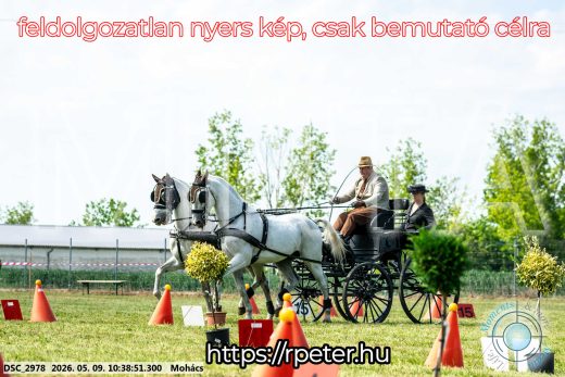 Mintakép 20260509-81