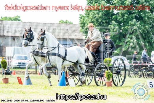 Mintakép 20260509-82