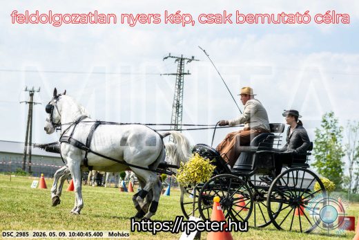 Mintakép 20260509-86