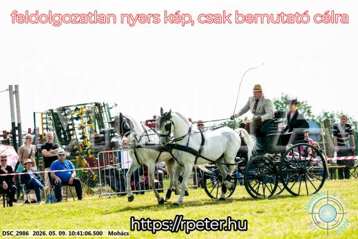 Mintakép 20260509-87