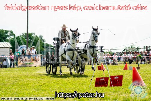 Mintakép 20260509-88