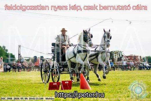 Mintakép 20260509-89