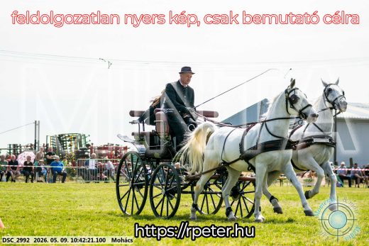 Mintakép 20260509-90