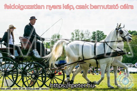 Mintakép 20260509-91
