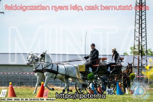Mintakép 20260509-92