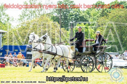 Mintakép 20260509-95