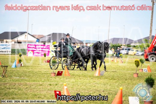 Mintakép 20260509-104