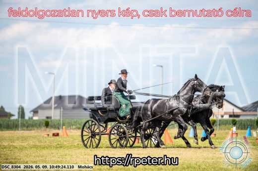 Mintakép 20260509-106