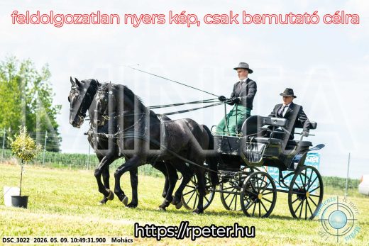 Mintakép 20260509-108