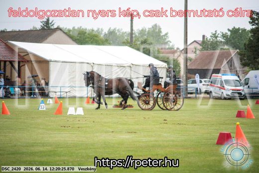 Mintakép 20260614-240