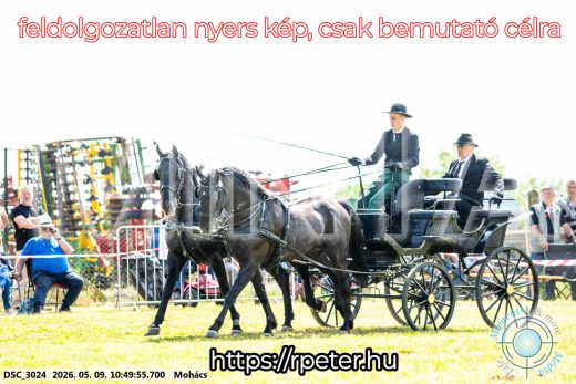 Mintakép 20260509-110