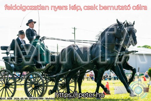 Mintakép 20260509-112