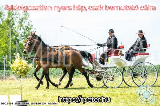 Mintakép 20260509-116