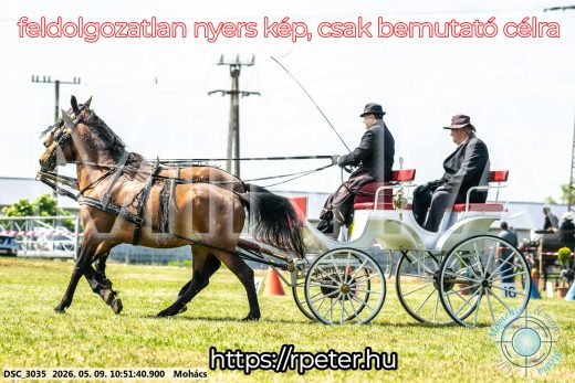 Mintakép 20260509-117