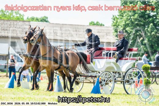 Mintakép 20260509-118