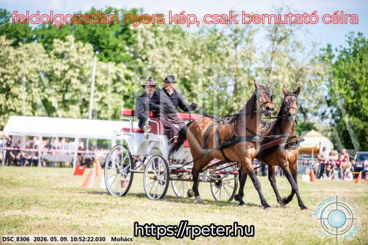 Mintakép 20260509-119