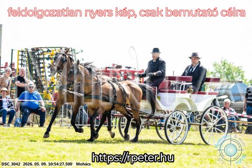 Mintakép 20260509-122