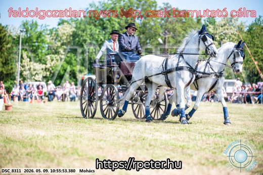 Mintakép 20260509-127